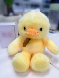 可愛鴨🐤🐣🐥
